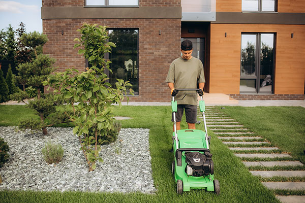 Mulsergo Servicio de Jardinería y Paisajismo Mulsergo Servicio de Jardinería y Paisajismo