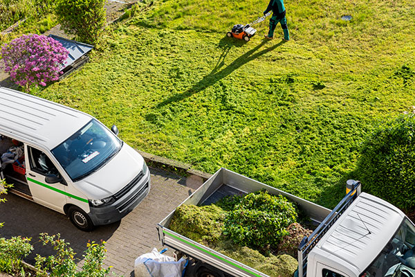 Mulsergo Servicio de Jardinería y Paisajismo Mulsergo Servicio de Jardinería y Paisajismo