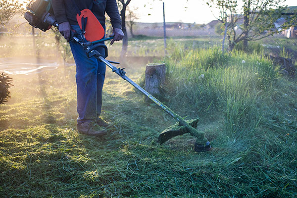 Mulsergo Servicio de Jardinería y Paisajismo Mulsergo Servicio de Jardinería y Paisajismo