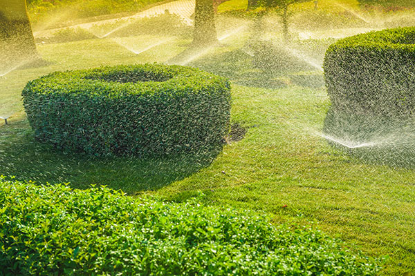 Mulsergo Servicio de Jardinería y Paisajismo Mulsergo Servicio de Jardinería y Paisajismo