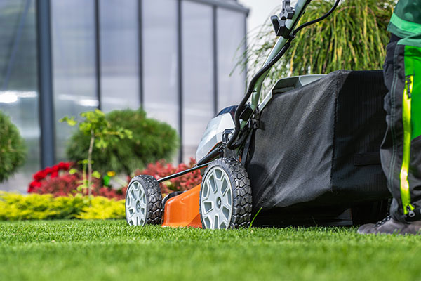 Mulsergo Servicio de Jardinería y Paisajismo Mulsergo Servicio de Jardinería y Paisajismo
