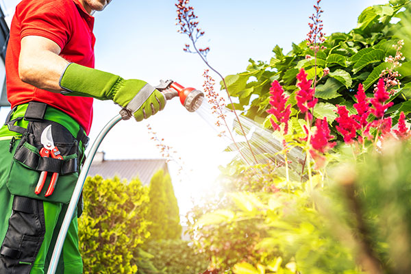 Mulsergo Servicio de Jardinería y Paisajismo Mulsergo Servicio de Jardinería y Paisajismo