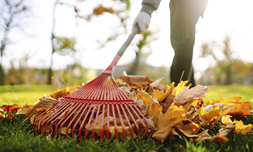 Servicio de Jardinería recogida de hojas en otoño